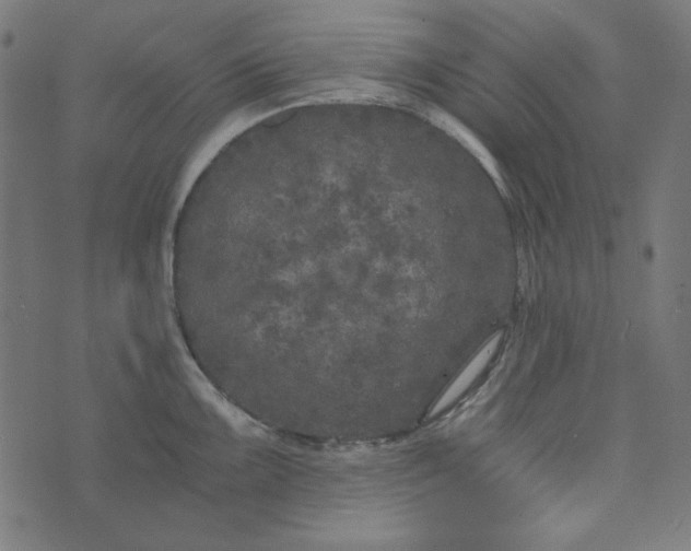 X0000073721099200608171157