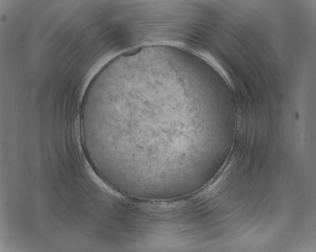 X0000073721100200608171157