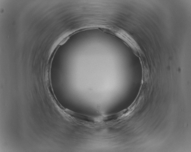 X0000073721101200608171157