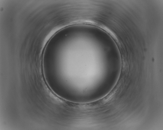 X0000073721102200608171157