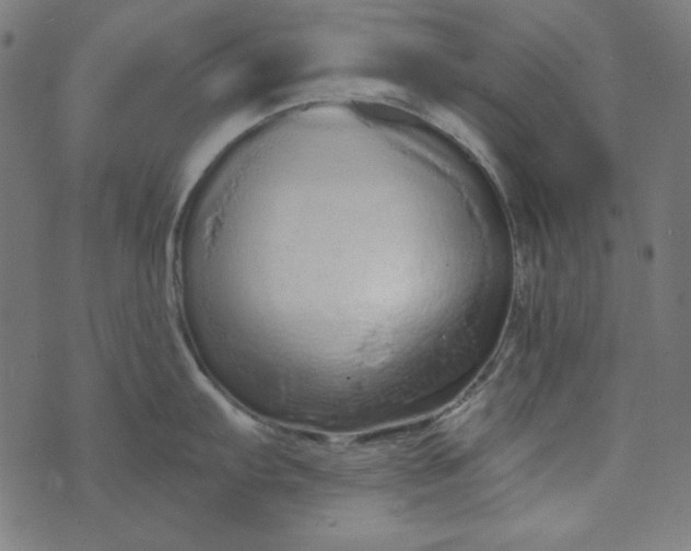 X0000073721103200608171157