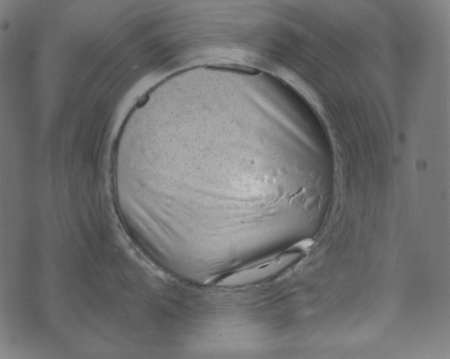 X0000073721104200608171157