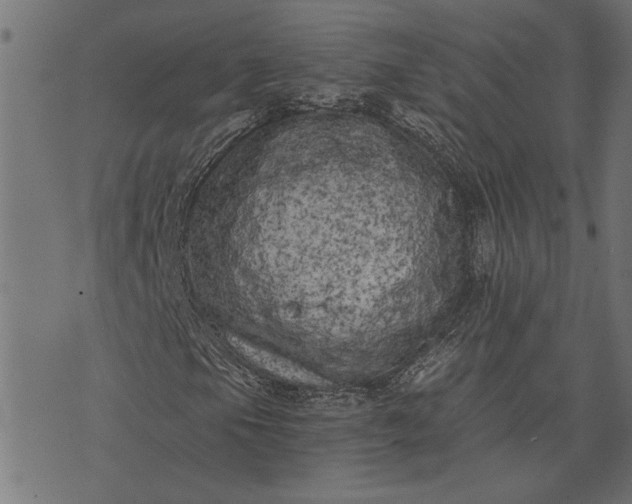 X0000073721105200608171156