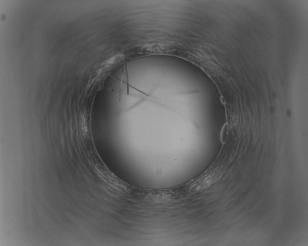 X0000073721106200608171156