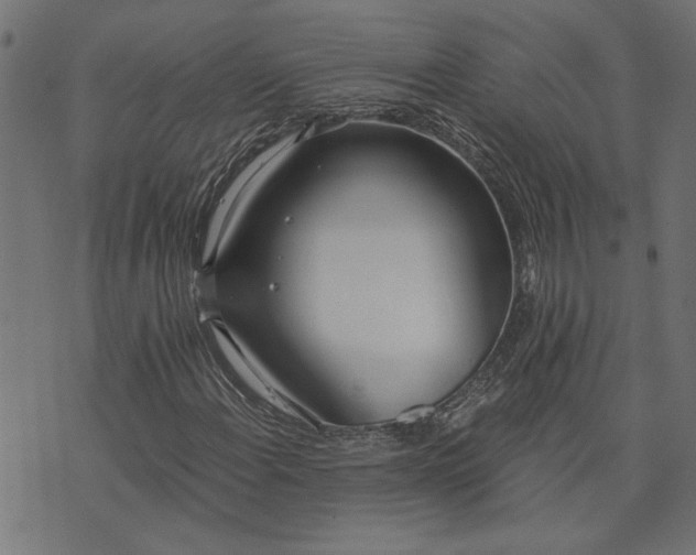 X0000073721108200608171156