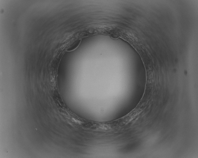 X0000073721109200608171156