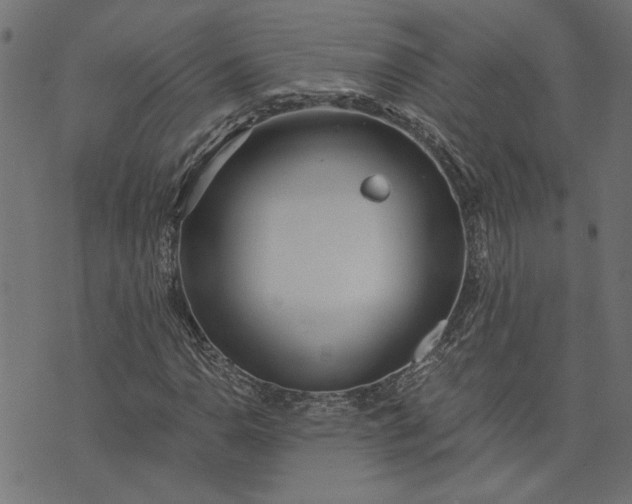 X0000073721110200608171156