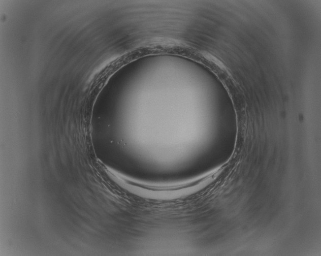 X0000073721112200608171156