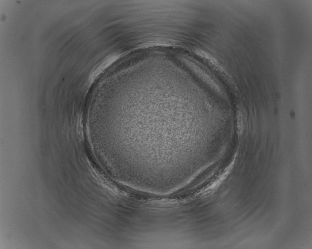 X0000073721113200608171156