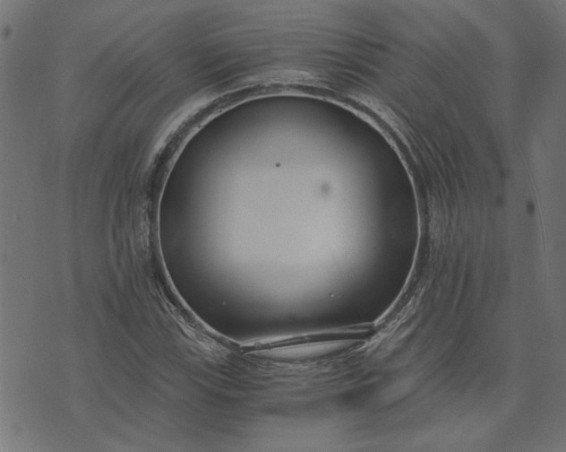 X0000073721115200608171156