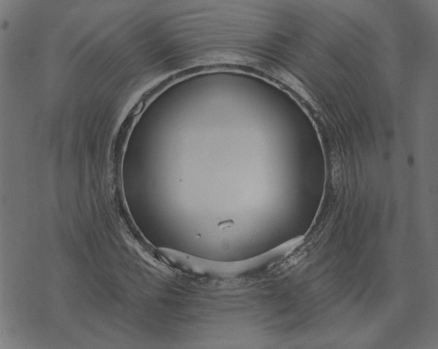 X0000073721116200608171156