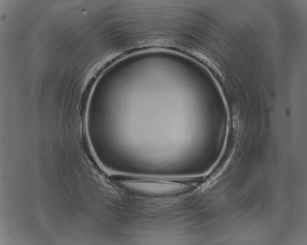 X0000073721117200608171156