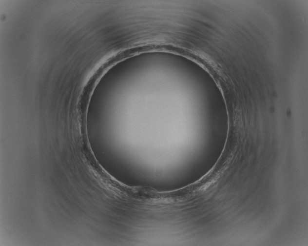 X0000073721118200608171156