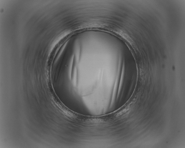 X0000073721119200608171156