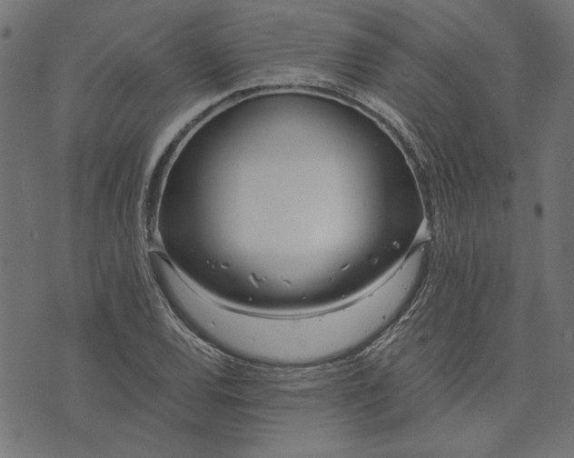 X0000073721120200608171156