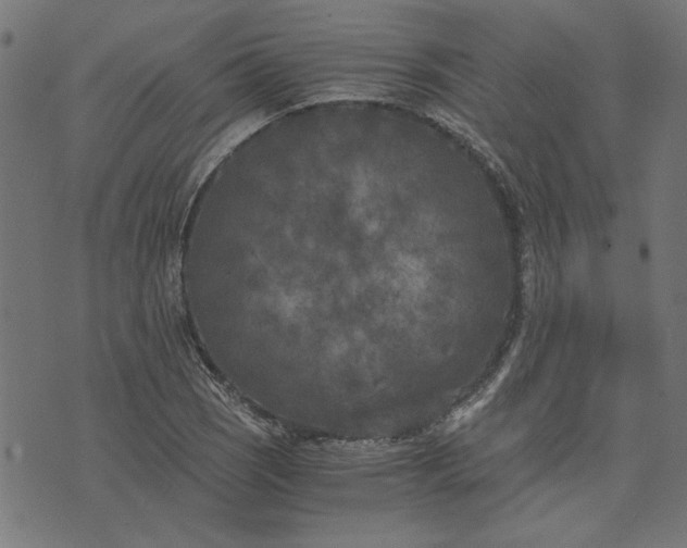 X0000073721121200608171156