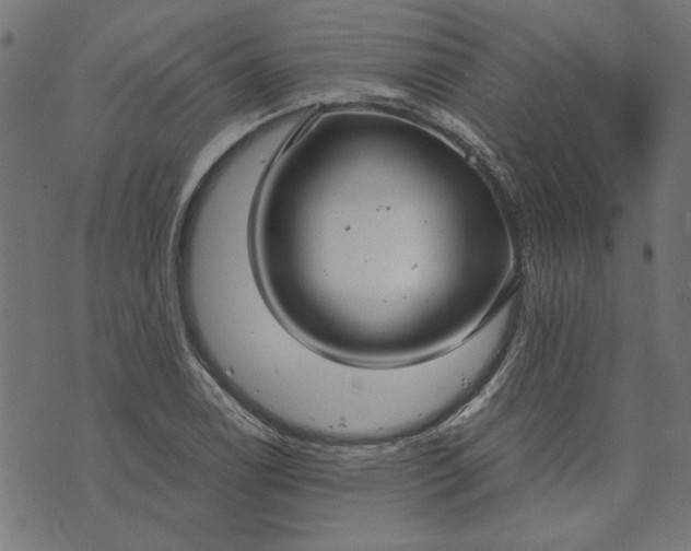 X0000073721122200608171156