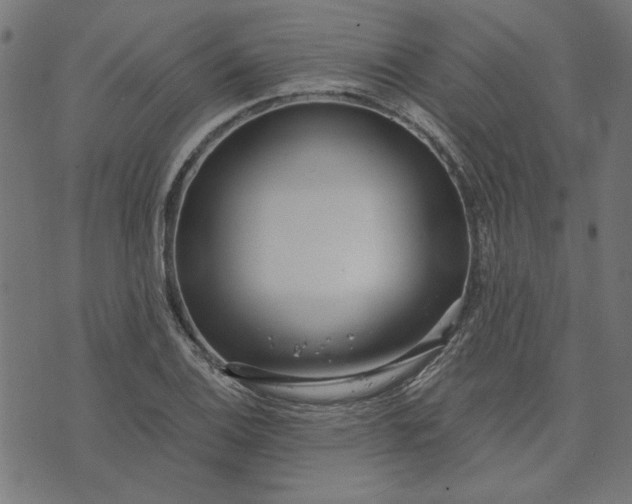 X0000073721124200608171156