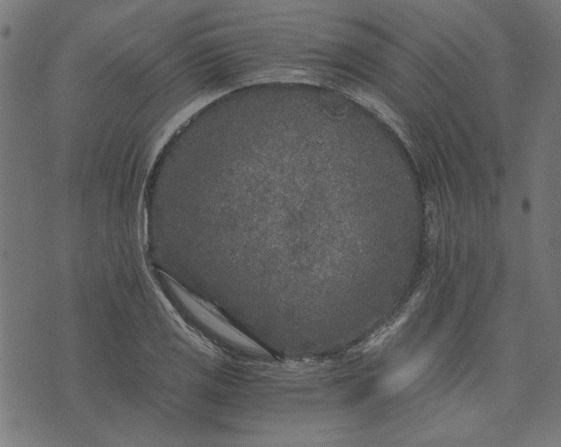 X0000073721125200608171156