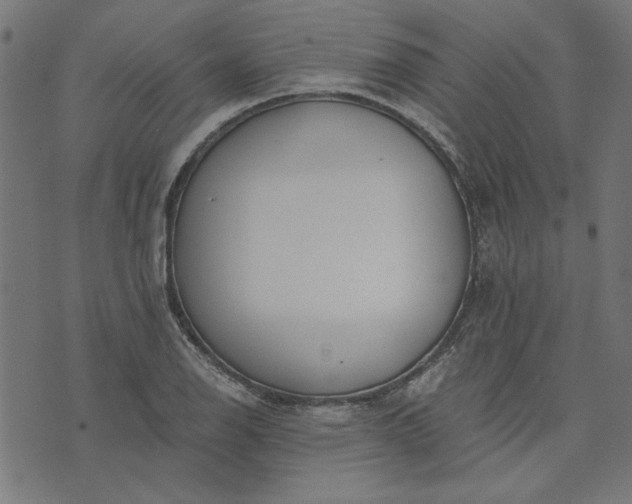 X0000073721126200608171156