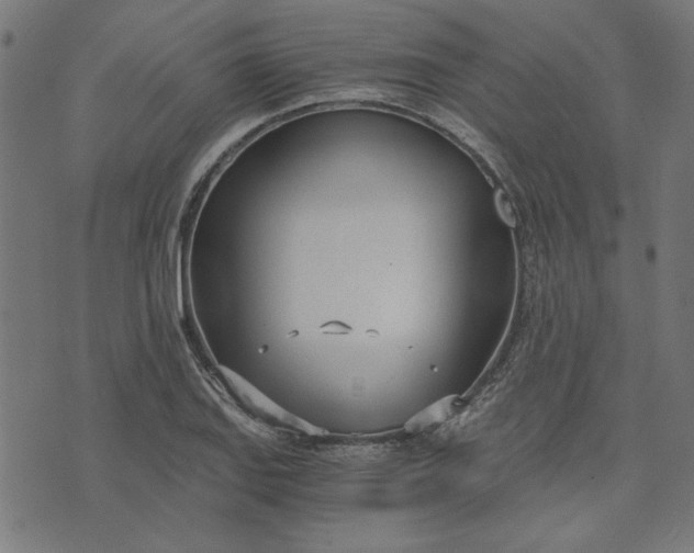 X0000073721127200608171156