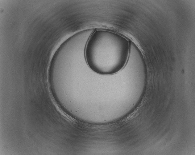 X0000073721128200608171156