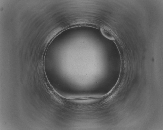 X0000073721129200608171156