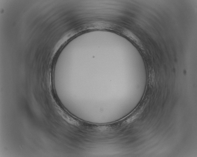 X0000073721130200608171156