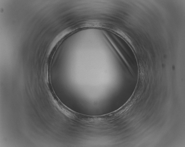 X0000073721131200608171156