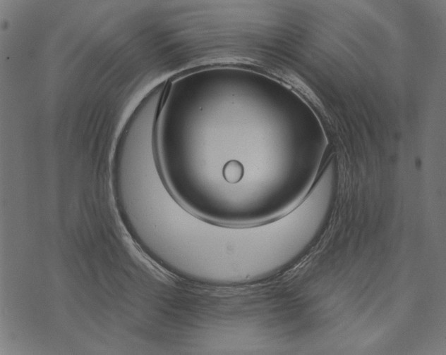 X0000073721132200608171156