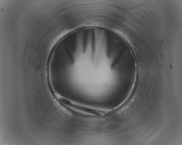 X0000073721133200608171156