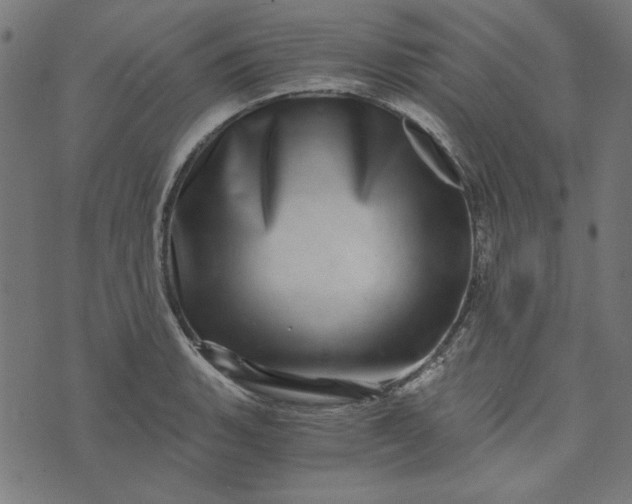 X0000073721135200608171157