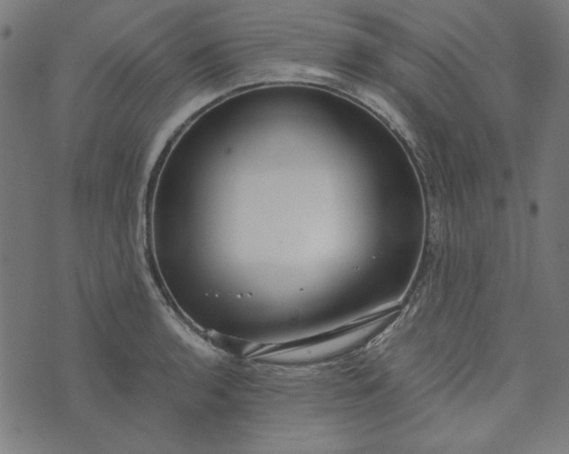 X0000073721136200608171157