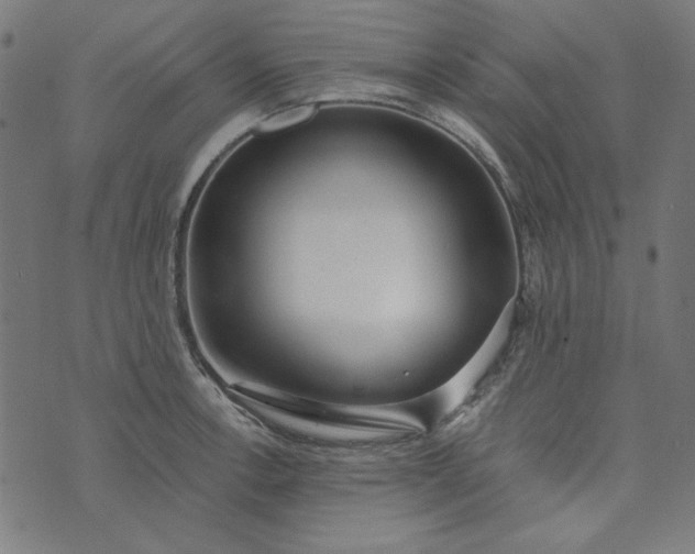 X0000073721138200608171157