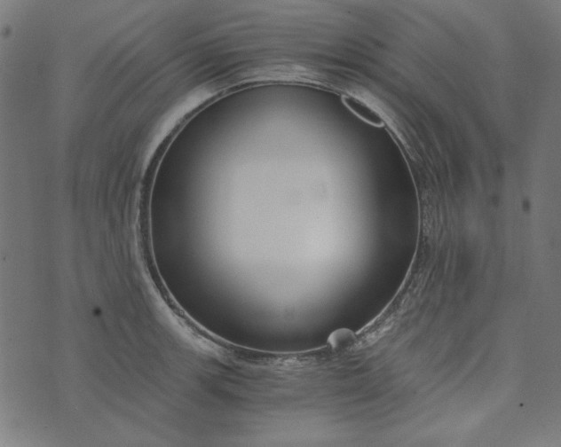 X0000073721139200608171157