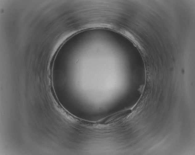 X0000073721140200608171157