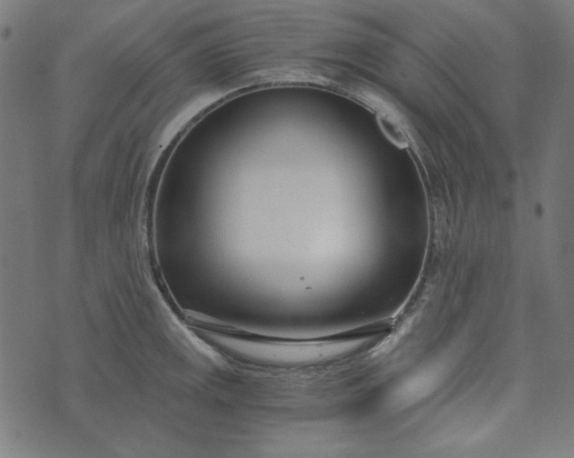 X0000073721141200608171157