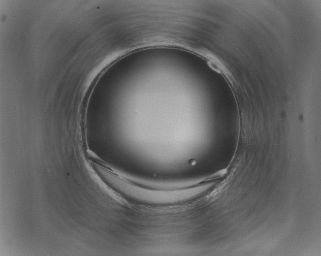 X0000073721142200608171157