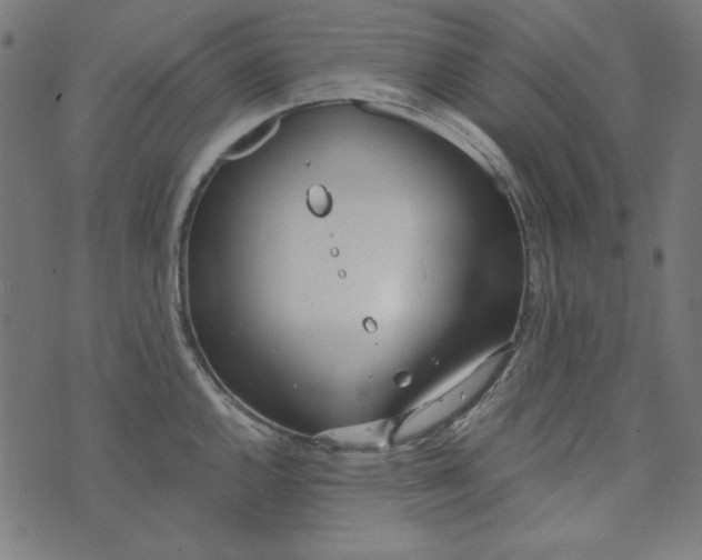 X0000073721144200608171157