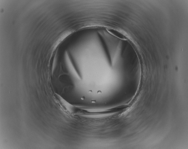 X0000073721145200608171157