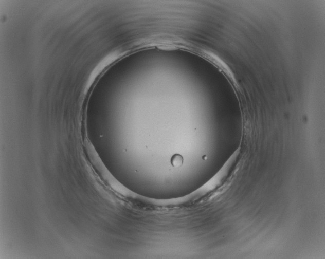 X0000073721146200608171157