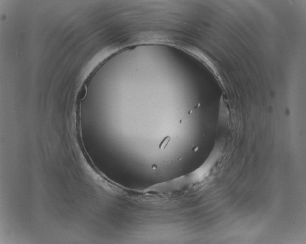 X0000073721147200608171157