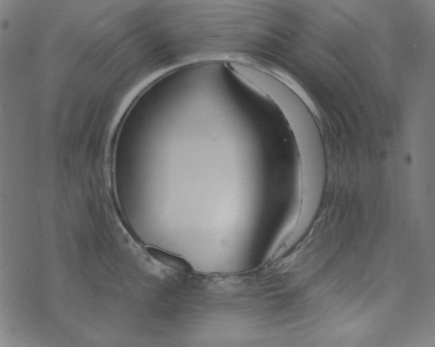 X0000073721148200608171157