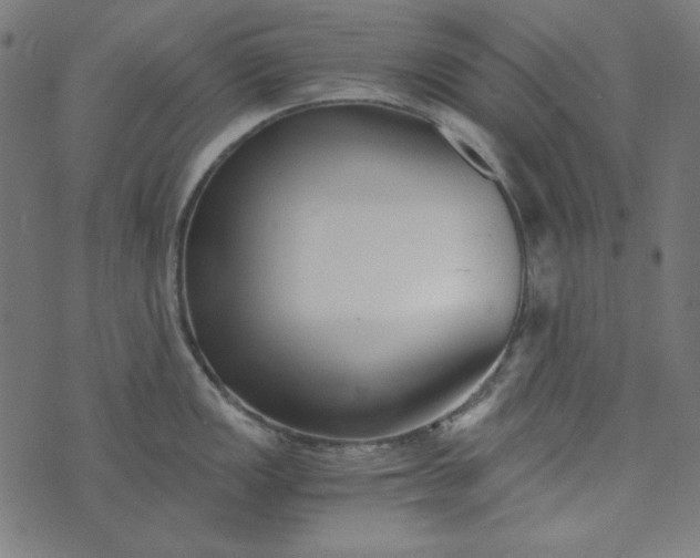 X0000073721149200608171157