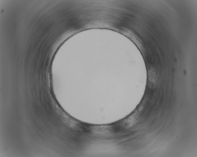 X0000073721150200608171157