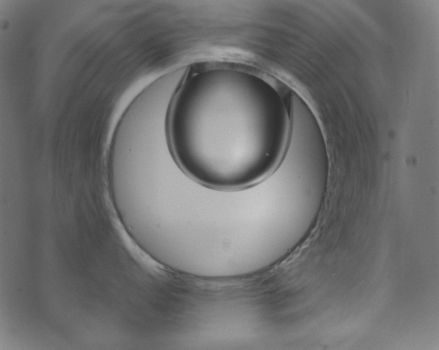 X0000073721152200608171157