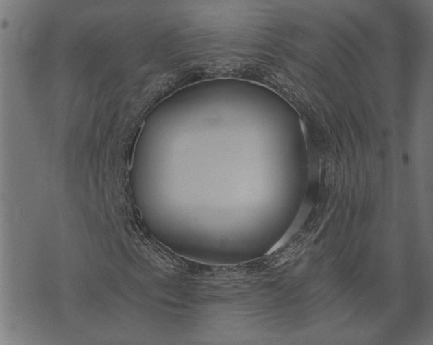 X0000073721153200608171156