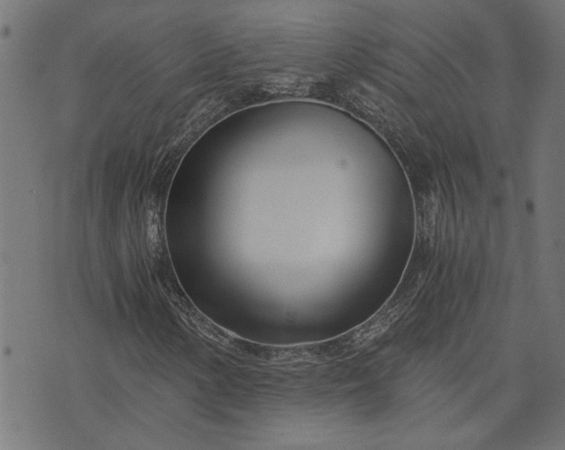 X0000073721154200608171156