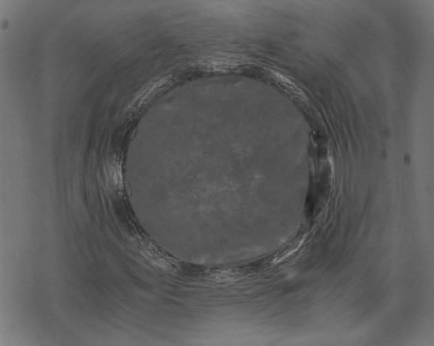 X0000073721155200608171156