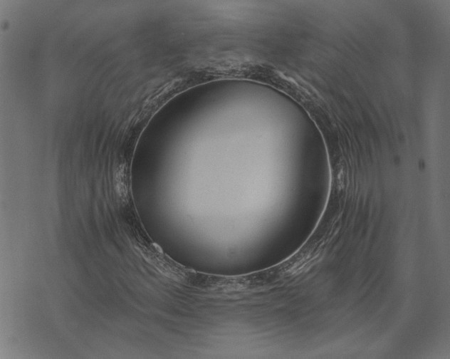 X0000073721156200608171156